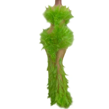 Senhora Boate Fase do Partido Desgaste Cantor Traje Verde Pena de Vestidos para Mulheres de Verão, Consulte-througth de Malha Roupas de Vestir